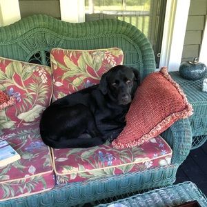 Meet your Posher, Andrea